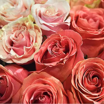 Купон Bloom 84 (термопечать) 70*70