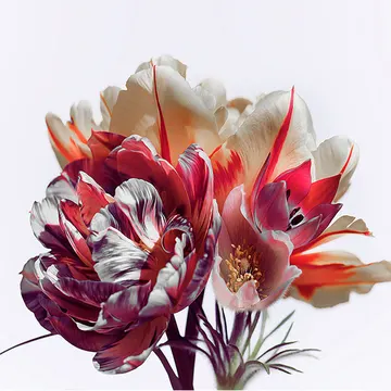 Купон Bloom 80 (термопечать) 70*70 — термопечать коллекции Купоны для подушек, оттенок 80
