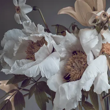 Купон Bloom 51 (термопечать) 70*100 — термопечать коллекции Купоны для подушек, оттенок 51
