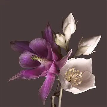 Купон Bloom 87 (термопечать) 70*70