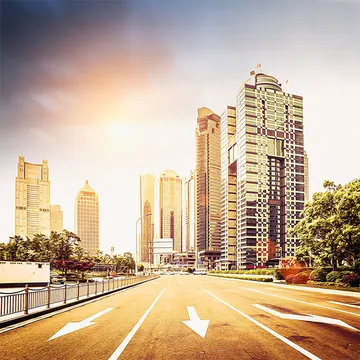 Купон City 127 (термопечать) 70*70 — термопечать коллекции Купоны для подушек, оттенок 127