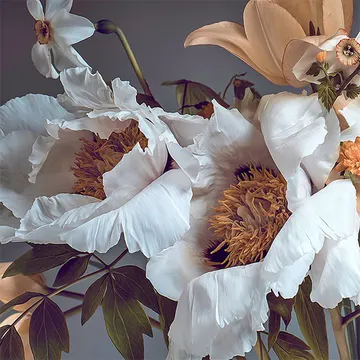 Купон Bloom 75 (термопечать) 70*70 — термопечать коллекции Купоны для подушек, оттенок 75