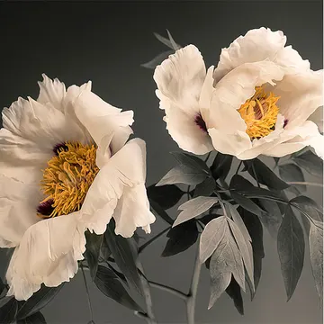 Купон Bloom 74 (термопечать) 70*70 — термопечать коллекции Купоны для подушек, оттенок 74