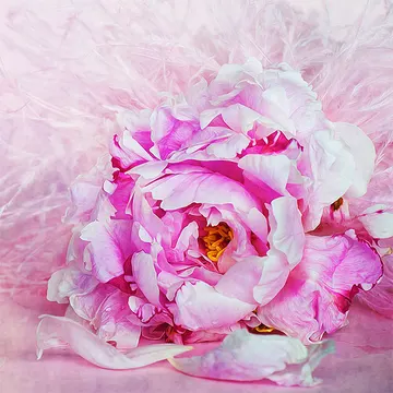 Купон Bloom 92 (термопечать) 70*70