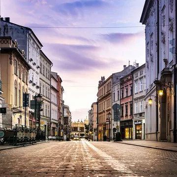 Купон City  29 (термопечать) 70*100 — термопечать коллекции Купоны для подушек, оттенок 29