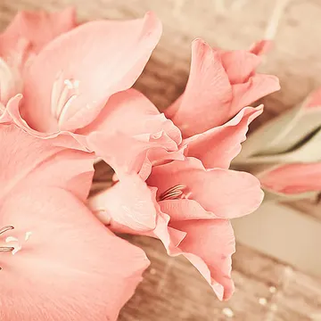 Купон Bloom 93 (термопечать) 70*70