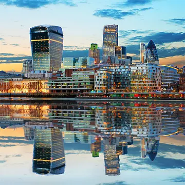 Купон City 107 (термопечать) 70*70 — термопечать коллекции Купоны для подушек, оттенок 107